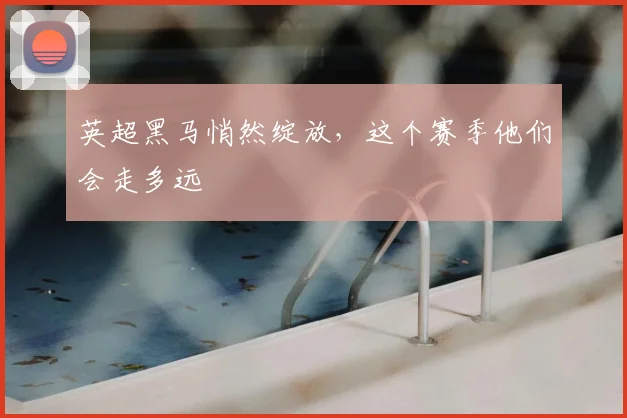 英超黑马悄然绽放，这个赛季他们会走多远